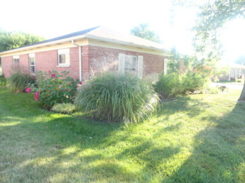  Traveling Students & Professionals - Gallery - 8