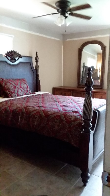 Room(Single Bed) - 1