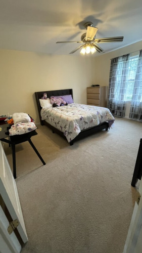 Room for rent in 4 Bed 4 Bath home  - Gallery - 3