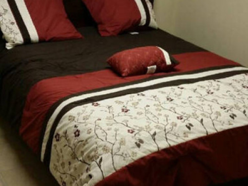 Quaint and Quite - Gallery - 7