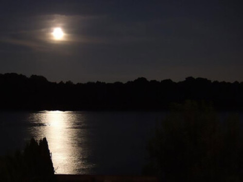 45297f57e885fef94b7d6974ef364056.jpg