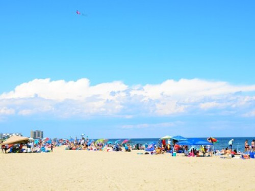 Escape to the Beach!