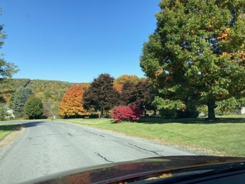 LOVELY HOMESTAY FOR PSU FOOTBALL  - Gallery - 2