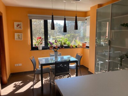Spanish Home - Gallery - 2