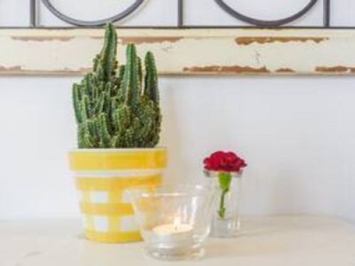 Cozy Homeva Kensico WP - Gallery - 19