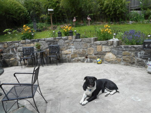 Cozy Homeva Kensico WP - Gallery - 106