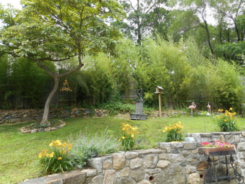Cozy Homeva Kensico WP - Gallery - 91