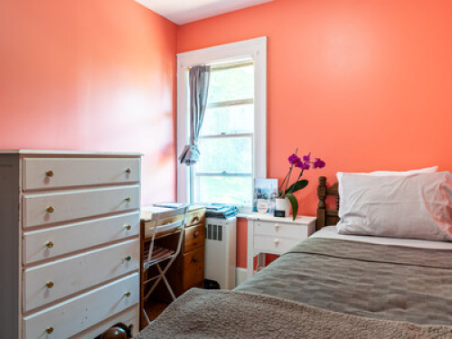 Cozy Homeva Chatterton WP - Gallery - 22