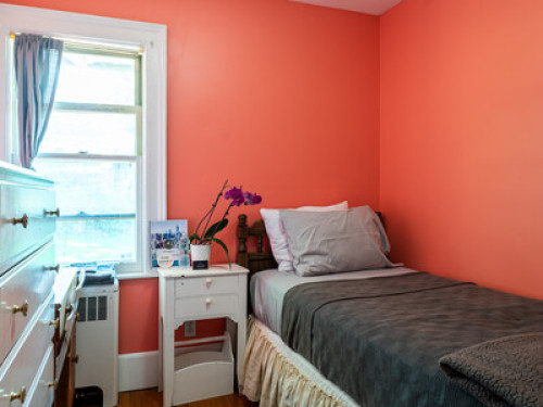 Cozy Homeva Chatterton WP - Gallery - 3
