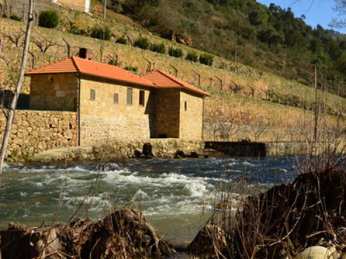 Mill House - Quinta de Recião - Gallery - 10