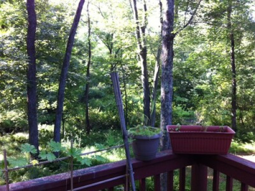 e1ad601eca7710d20958ebc3bed47ac2.jpg