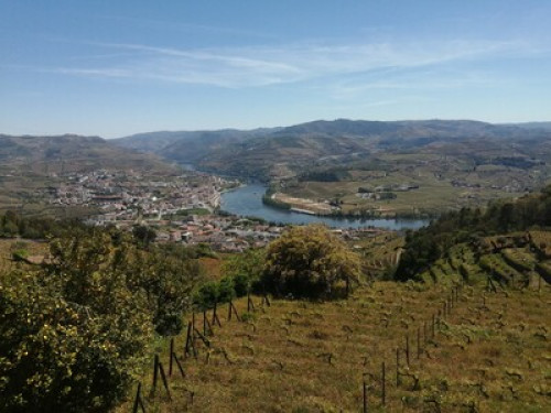 Douro Valley Region 1931