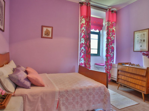 Fans of Nature - Gallery - 3