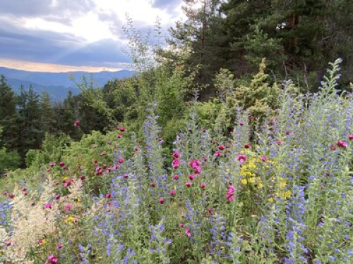 Cosy mountain flat with amazing vie - Gallery - 11