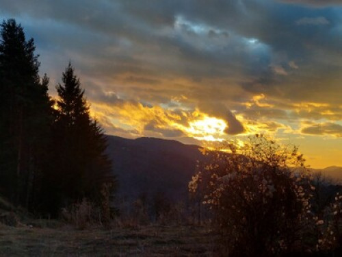 Cosy mountain flat with amazing vie - Gallery - 14