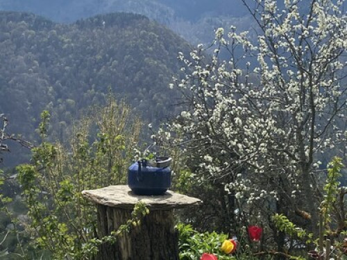 Cosy mountain flat with amazing vie - Gallery - 29