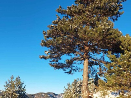 Cosy mountain flat with amazing vie - Gallery - 30