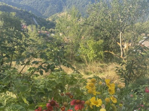 Cosy mountain flat with amazing vie - Gallery - 15