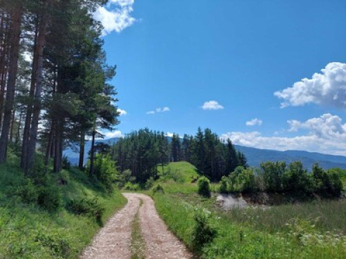 Cosy mountain flat with amazing vie - Gallery - 33
