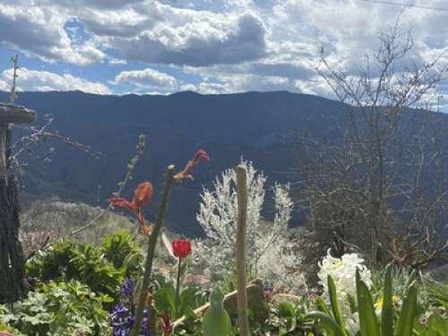 Cosy mountain flat with amazing vie - Gallery - 7