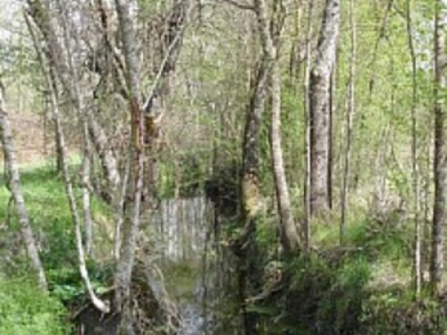 A nature fan - Gallery - 8