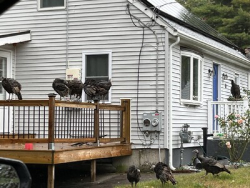 Home Away from Home - Gallery - 2