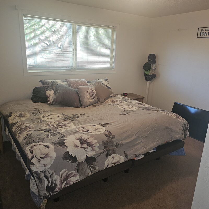 Primary (Full Room) - 1