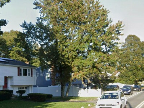 Room for rent - Gallery - 3