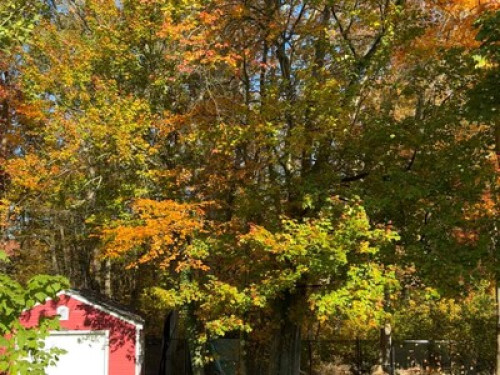 Room for rent - Gallery - 4