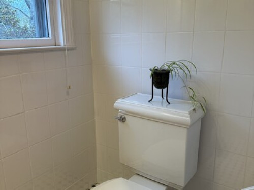 Cozy room w/private bath - Gallery - 12