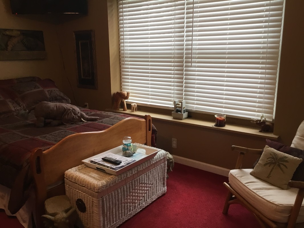 The Palm Tree Room(Single Bed) - 1