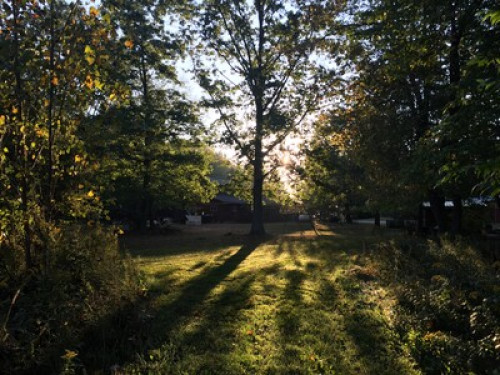  Perfect for nature lovers  - Gallery - 8
