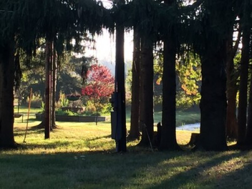  Perfect for nature lovers  - Gallery - 10