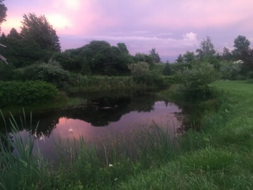  Perfect for nature lovers  - Gallery - 17