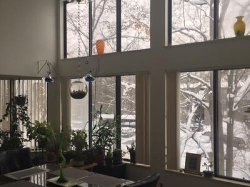 Quiet, Student Friendly Living - Gallery - 2