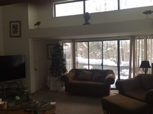Quiet, Student Friendly Living - Gallery - 4