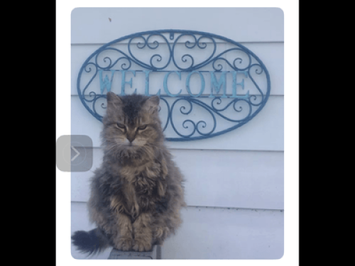 Blue Rose Farm - Gallery - 13