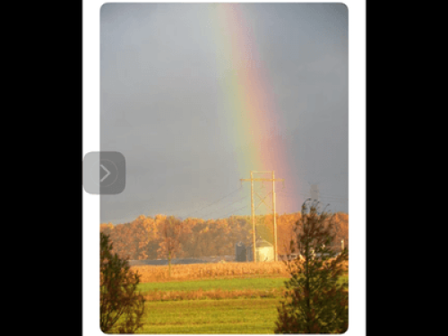 Blue Rose Farm - Gallery - 11