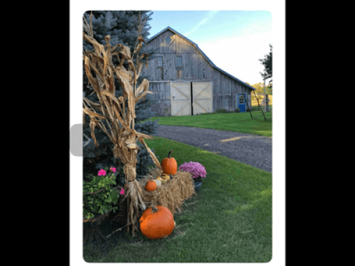Blue Rose Farm - Gallery - 12