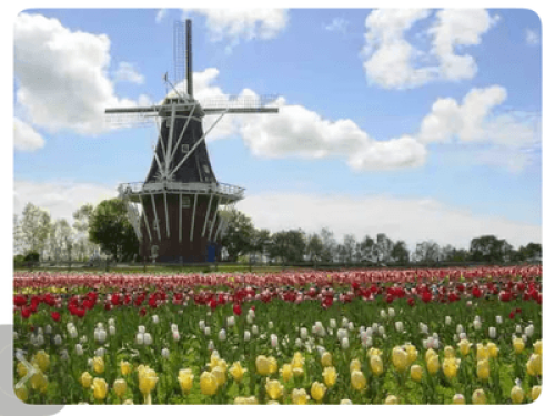 Blue Rose Farm - Gallery - 10