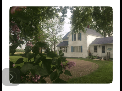 Blue Rose Farm - Gallery - 14