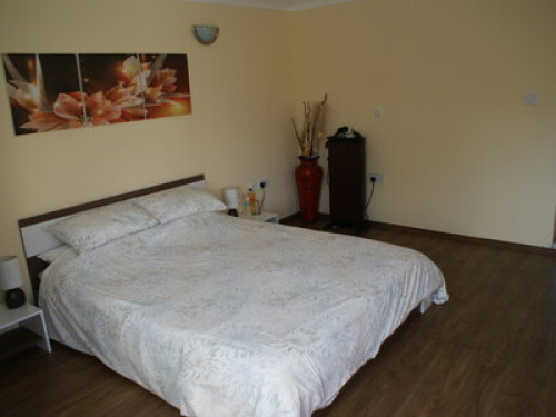 Quite and cosy rooms  - Gallery - 11