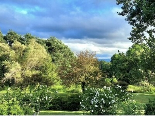 The Adirondack Hideaway - Gallery - 21