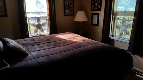 Homestay - Gallery - 2