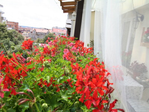 Vintage apartment in Varna