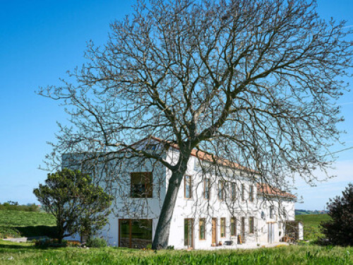 Ostara Casa Huerta - Gallery - 17