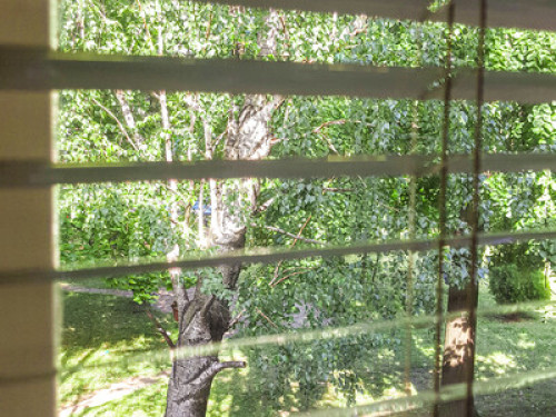 Cozy apartment, 600m from center - Gallery - 6