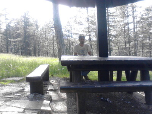 Tara, mountain, mushrooms, ski,fish - Gallery - 17