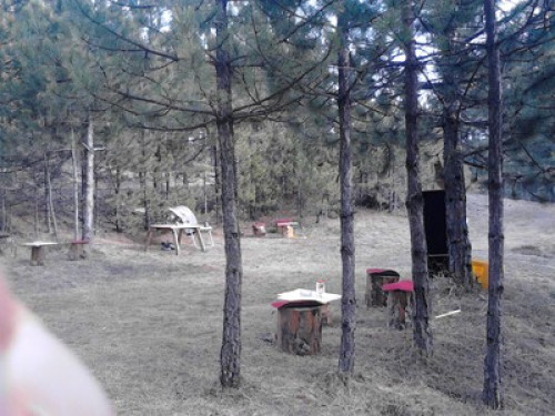 Tara, mountain, mushrooms, ski,fish - Gallery - 21