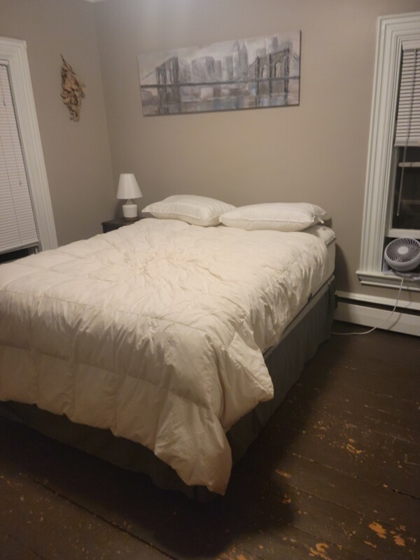 Large Furnished Room(Full Room) - 1